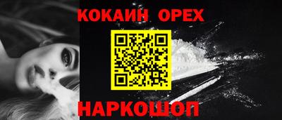 шишки Дубна