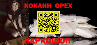 шишки Дубна