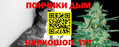шишки Дубна