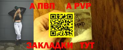 шишки Дубна