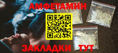 шишки Дубна