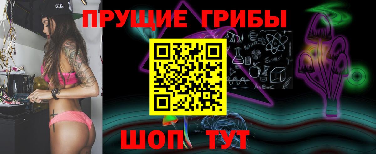 Казань  Псилоцибиновые грибы GOLDEN TEACHER  Псилоцибиновые грибы MAGIC MUSHROOMS  Вход с VPN 